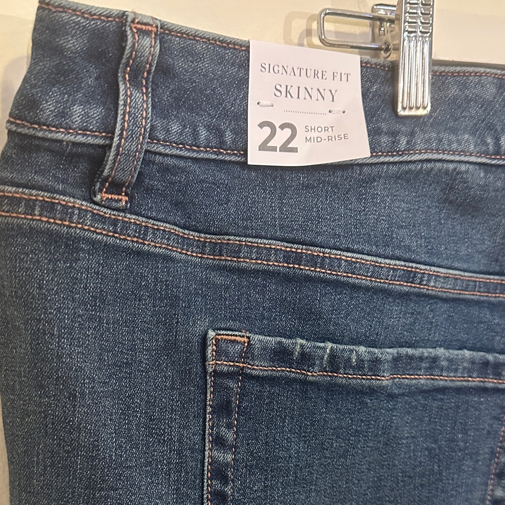 Lane Bryant Signature Fit Skinny Jeans
